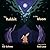The Rabbit in the Moon