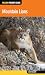 Mountain Lions