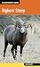 Bighorn Sheep