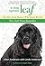 Dog Named Leaf: The Hero fr...