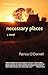 Necessary Places: A Novel