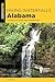 Hiking Waterfalls Alabama: ...