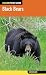 Black Bears