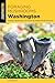 Foraging Mushrooms Washingt...