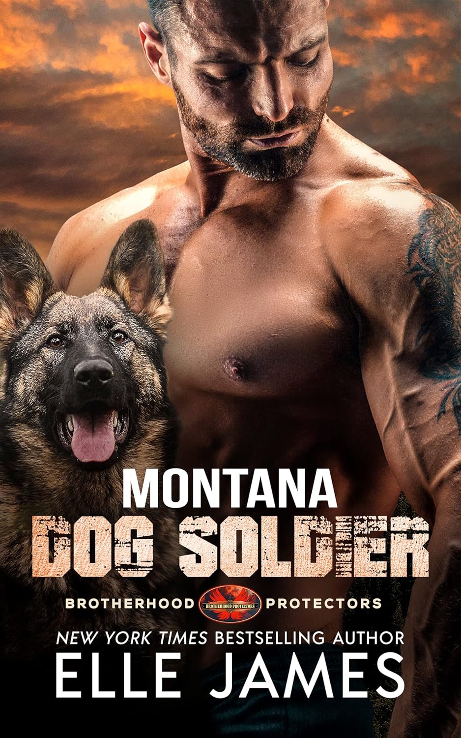 Montana Dog Soldier (Brotherhood Protectors, #6)