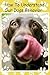 How To Understand Our Dogs ...