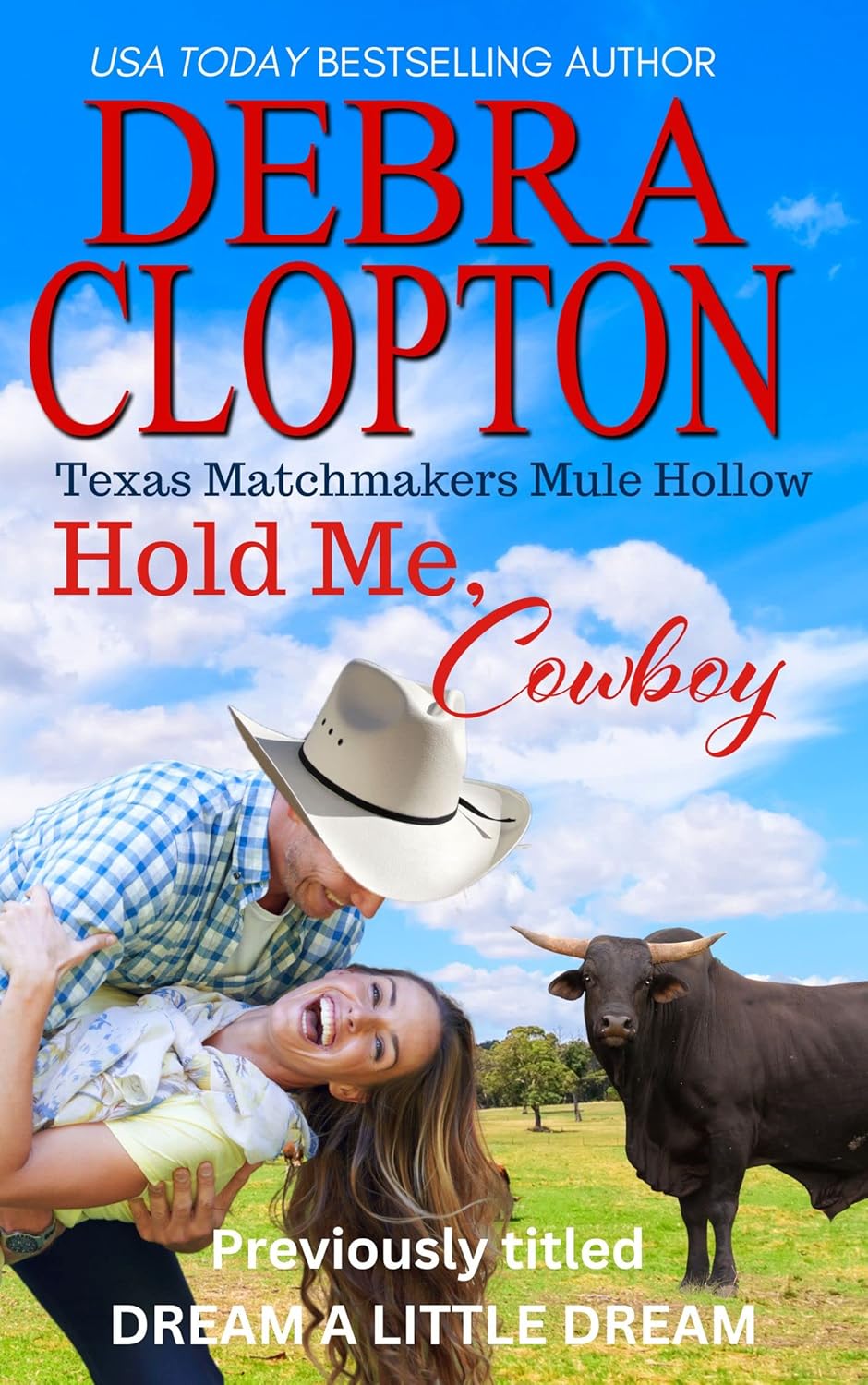 Hold Me, Cowboy (Texas Matchmakers, #4)