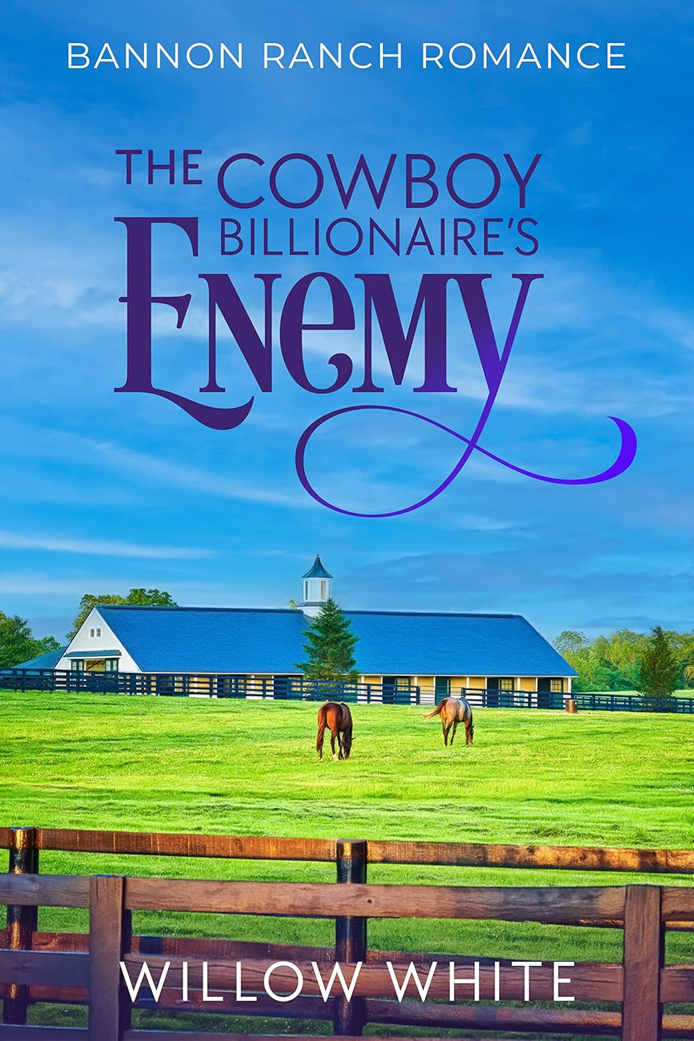 The Cowboy Billionaire's Enemy (Bannon Ranch #1)