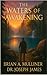 The Waters of Awakening by Brian Mulliner