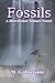 Fossils: A Dorchester Siste...