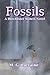 Fossils: A Dorchester Siste...