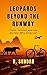 Leopards beyond the runway by R Sundar