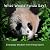 What Would Panda Say?: Ever...
