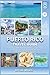 PUERTO RICO TRAVEL GUIDE 2026