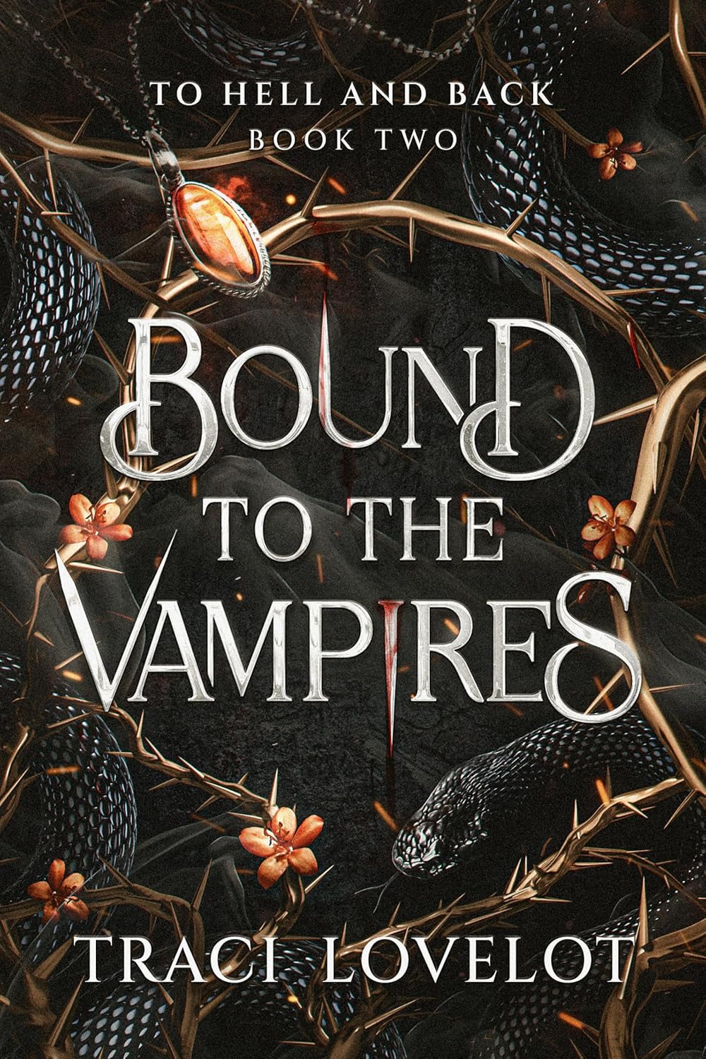 To Hell and Back (Bound to the Vampires #2)