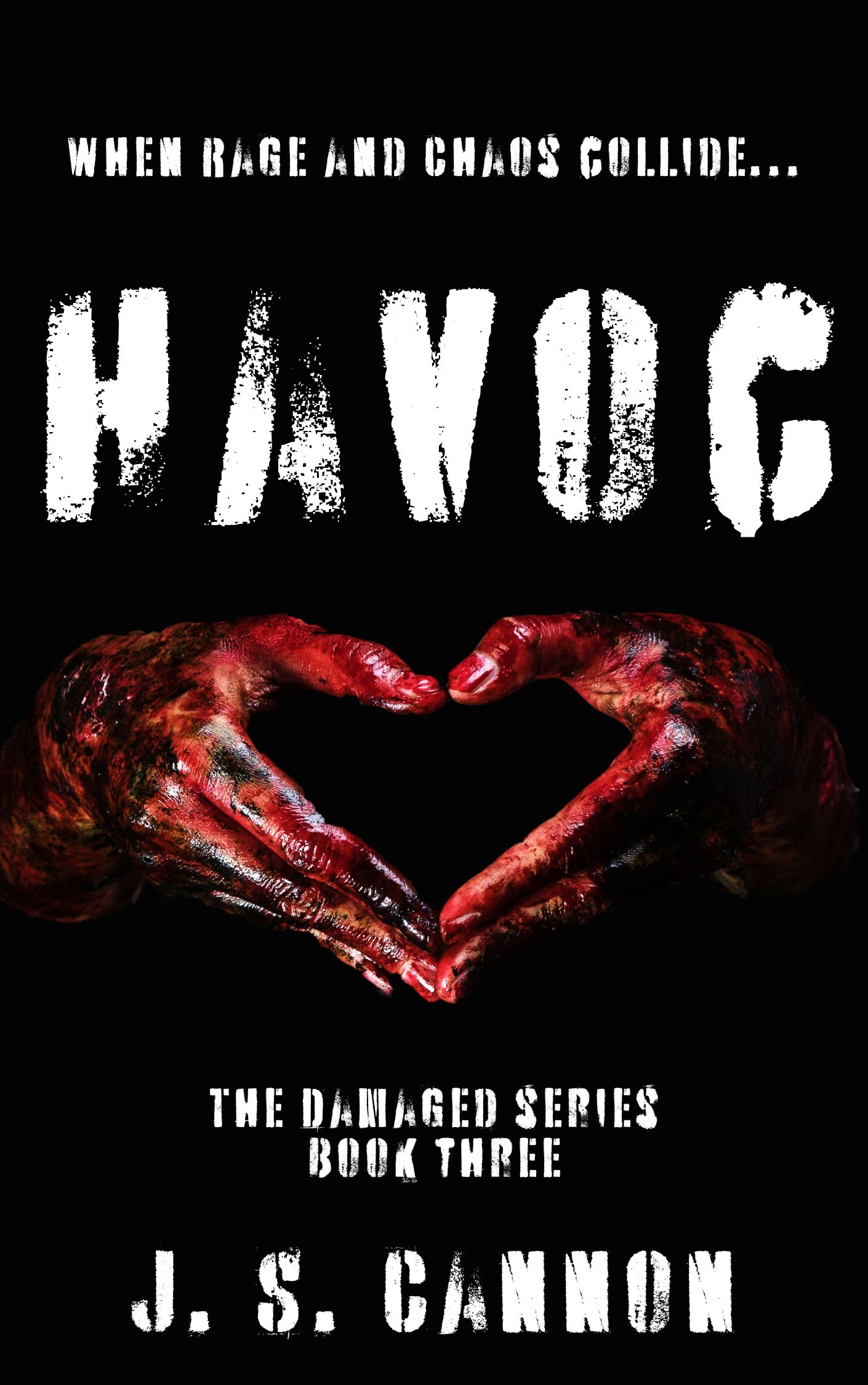 Havoc (Damaged #3)