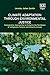 Climate Adaptation Through Environmental Justice by Jeremy Sarkin