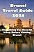Brunei Travel Guide 2026: E...