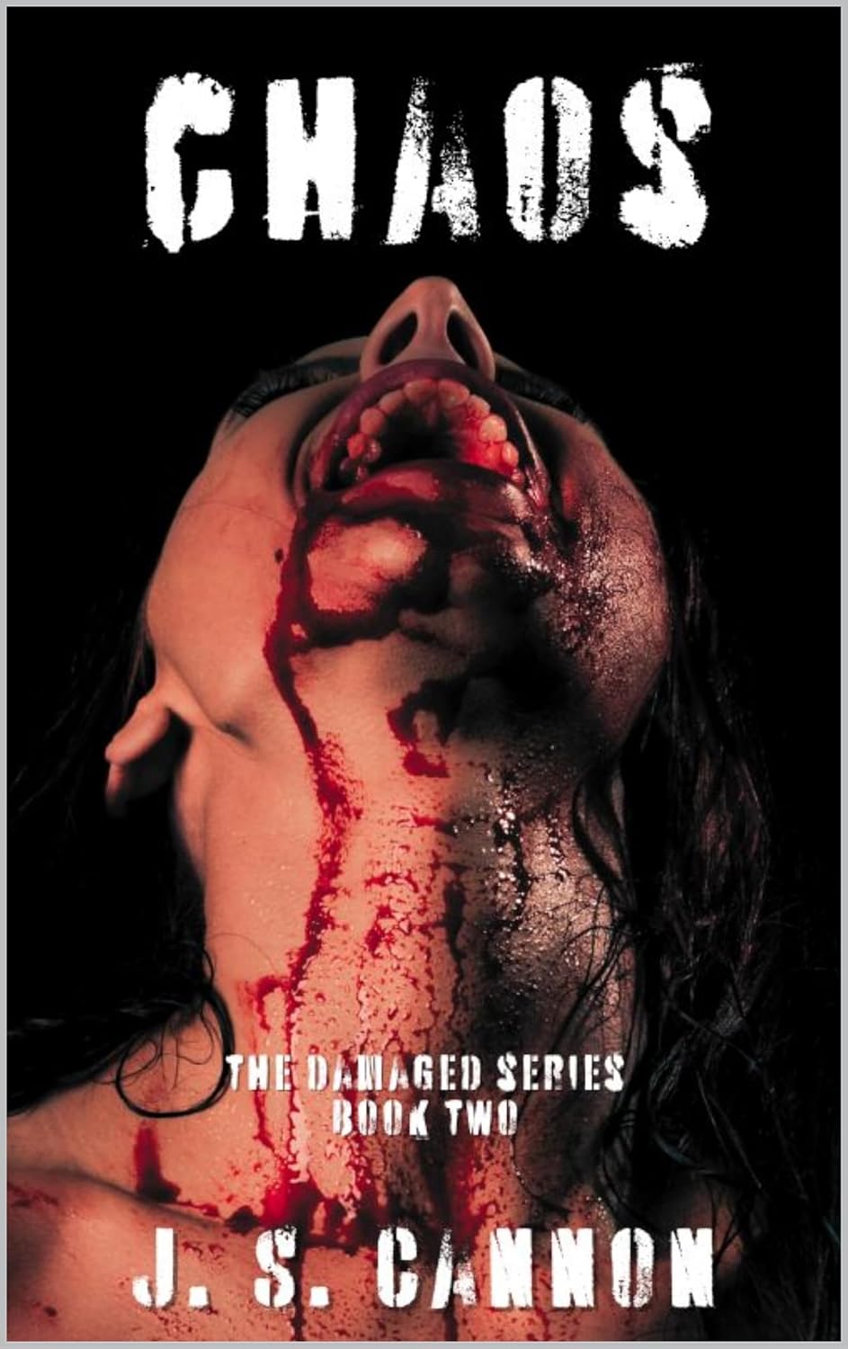 Chaos (Damaged #2)