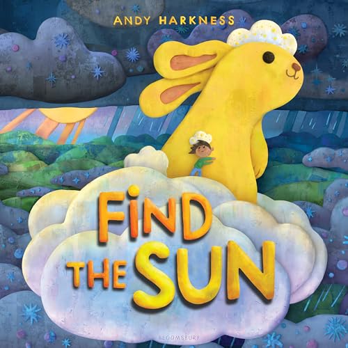 Find the Sun (Hardcover)