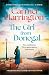 The Girl From Donegal
