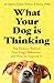 What Your Dog is Thinking: The Science Behind Your Dog's Behaviour and How to Improve It