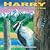Harry the Woodpecker's Search for a Home by Joy Johnson