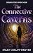 The Connective Caverns: Beh...