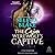 The Cajun's Werewolf's Captive (Stormy Weather #1)