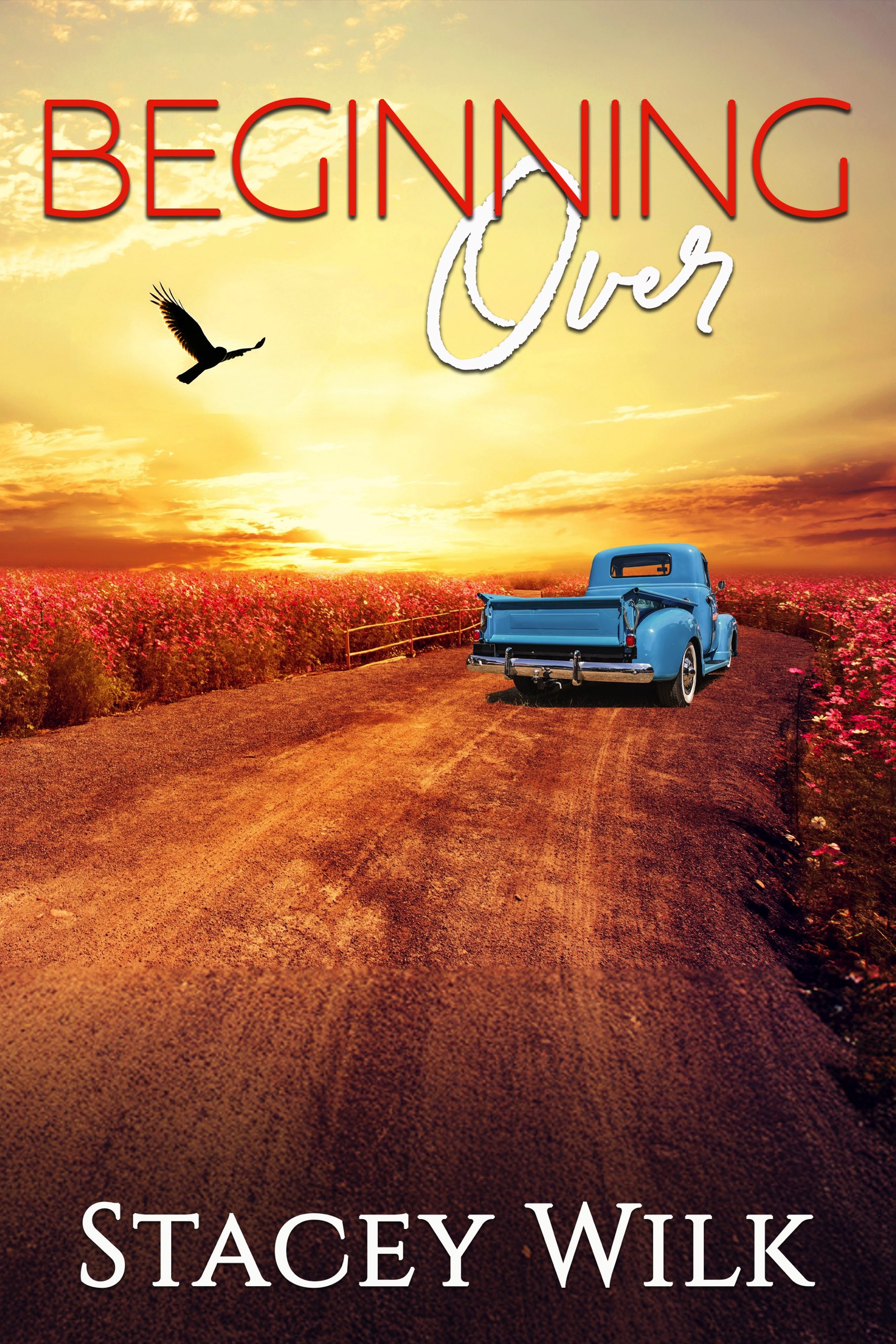 Beginning Over (Hometown #4)