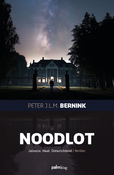 NoodLot (Paperback)
