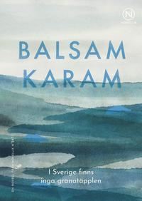 I Sverige finns inga granatäpplen (Paperback)