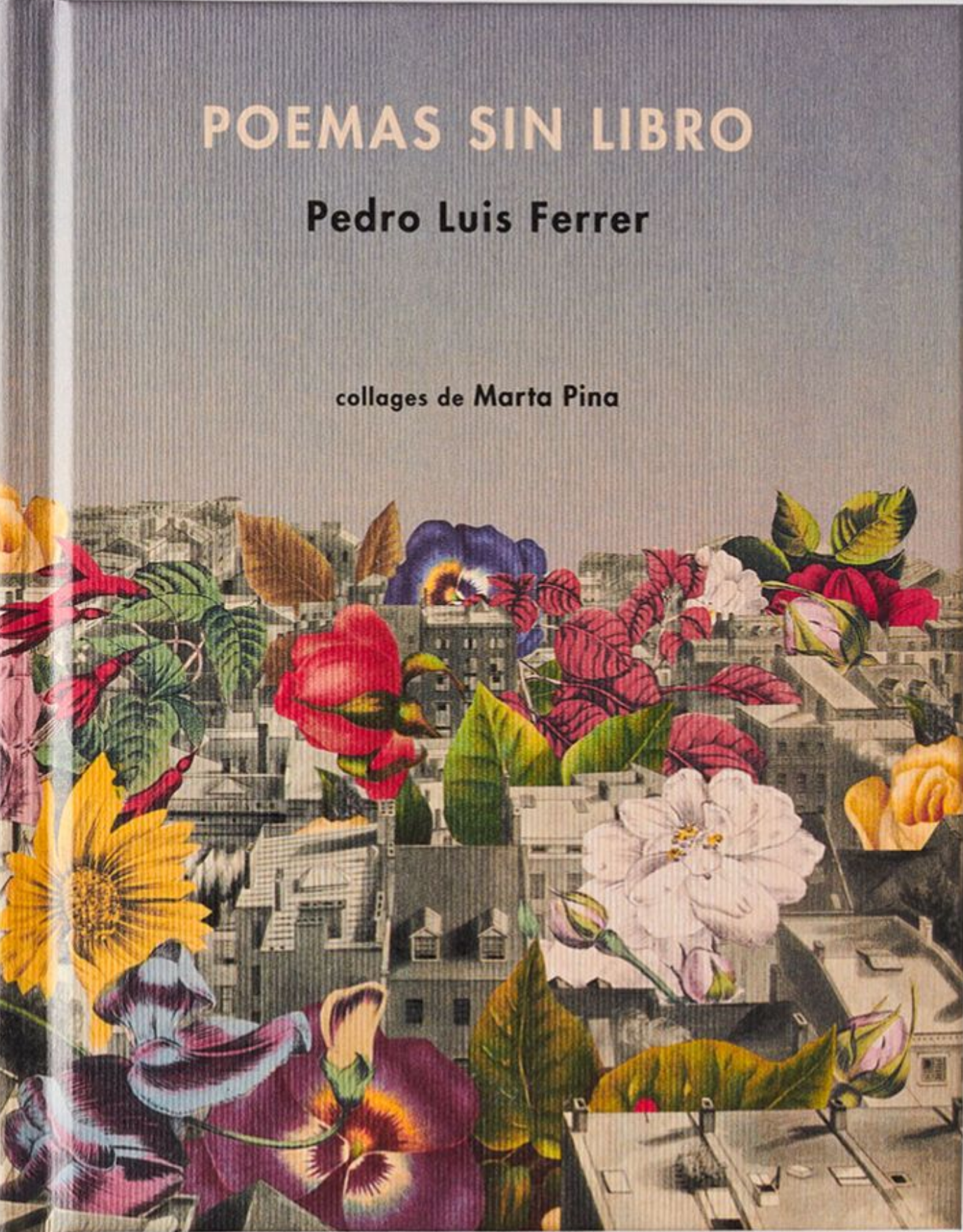 Poemas sin libro (Hardcover)