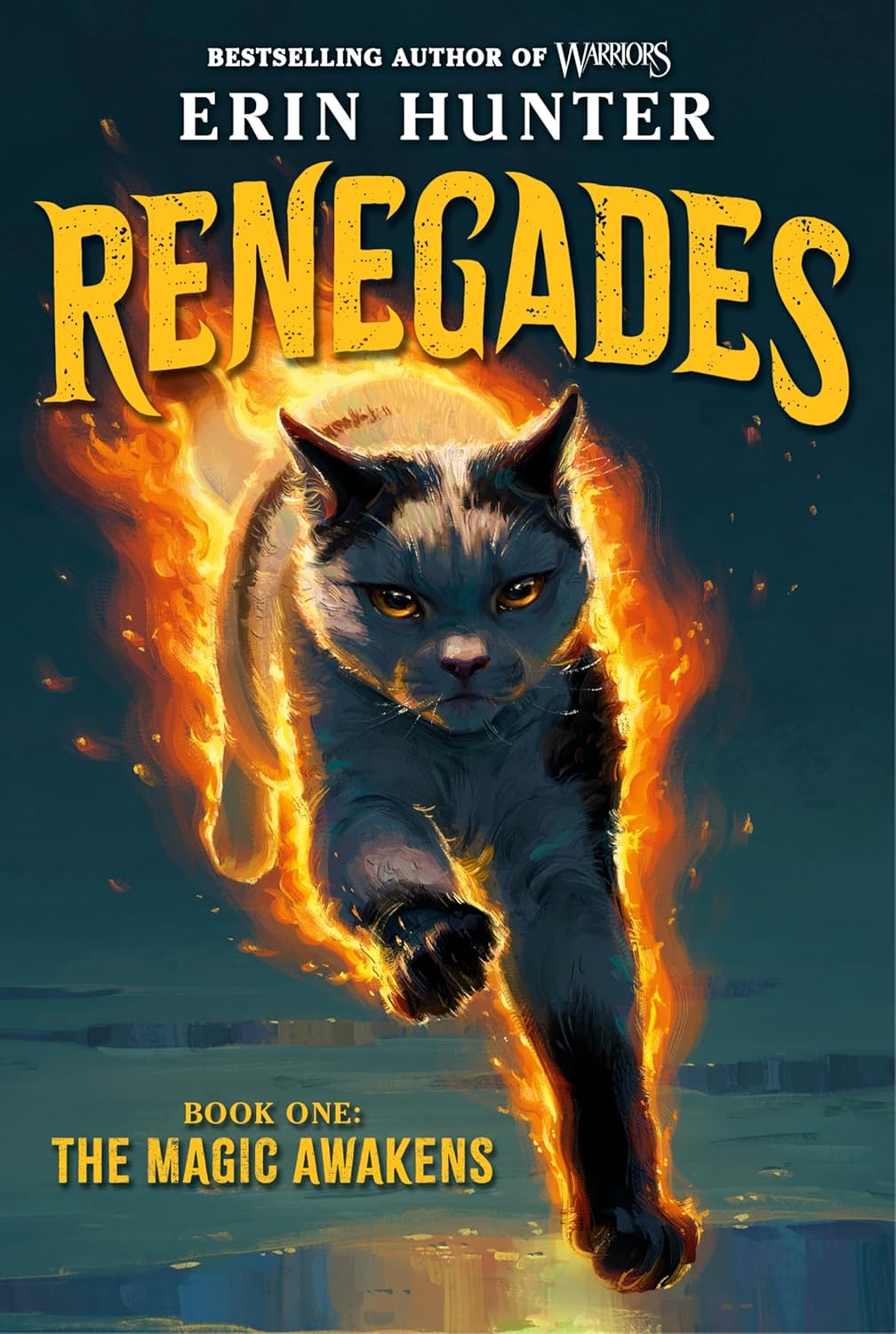 The Magic Awakens (Renegades, #1)