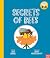 Think Big: Secrets of Bees