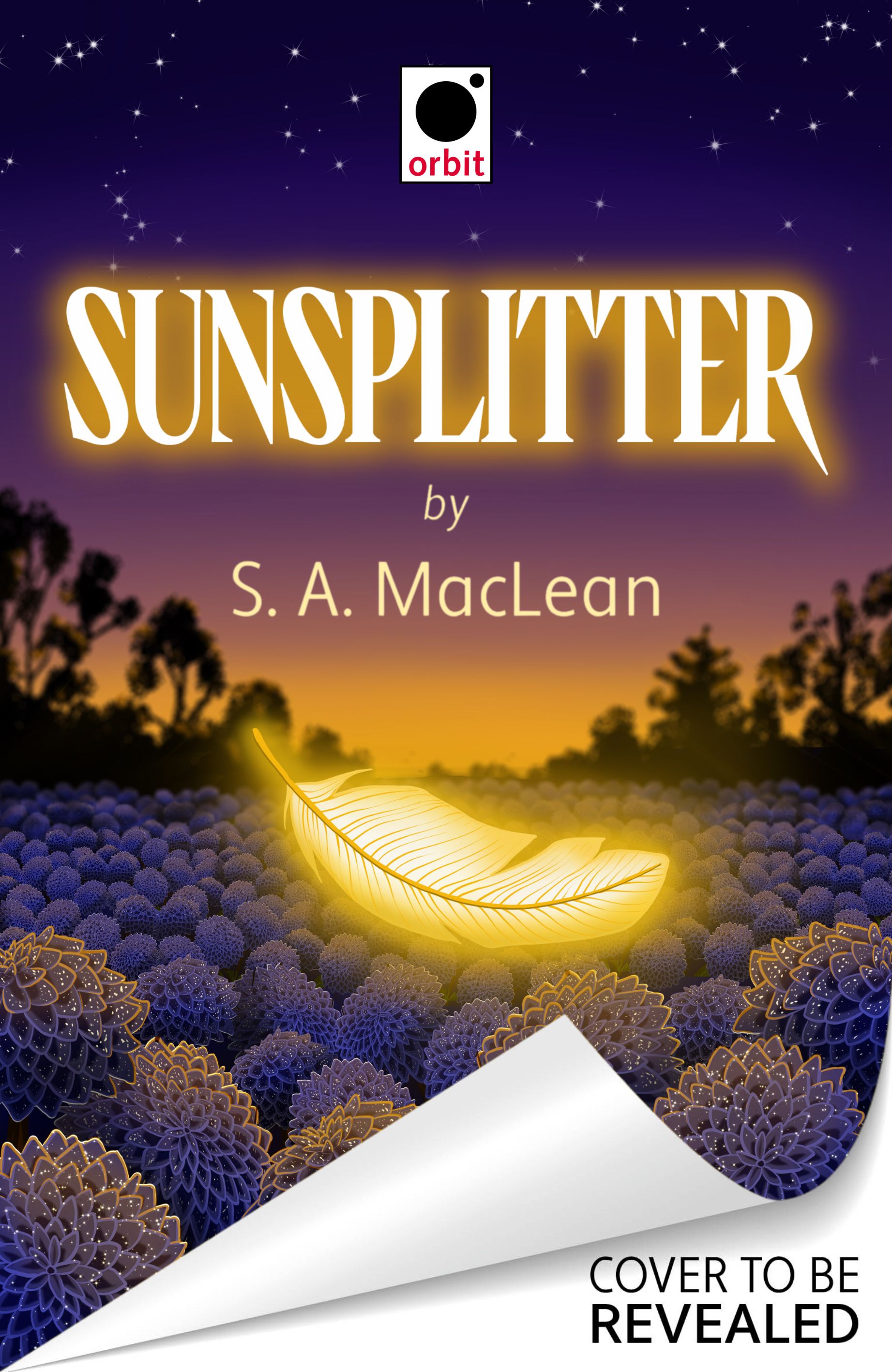Sunsplitter (Beasts of the Void #2)