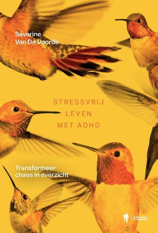 Stressvrij leven met ADHD: transformeer chaos in overzicht
