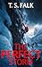 THE PERFECT STORM: A SciFi Adventure (The Ancient Secrets Book 13)