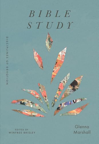 Bible Study (Disciplines of Devotion)