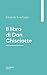 Il libro di Don Chisciotte (Italian Edition)