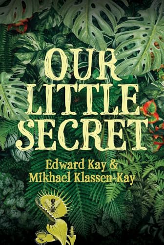 Our Little Secret (Paperback)
