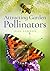 Attracting Butterflies, Bee...