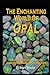The Enchanting World Of Opa...