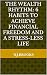 The Wealth Rhythm by N.J. Brooks