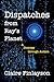 Dispatches from Ray's Planet: A Journey through Autism
