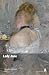Lady Jane by Mrs. Oliphant