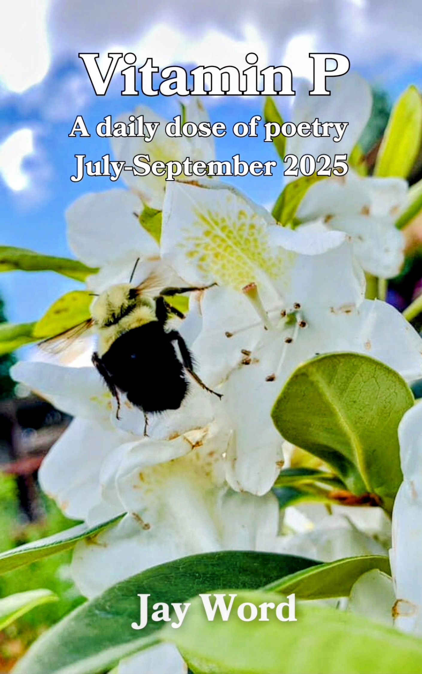 Vitamin P Book 3: A daily dose of poetry July-September 2025