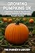 Growing Pumpkins UK: A Beginner’s Guide to Big Harvests, Autumn Traditions & Profitable Pumpkin Patches: Sustainable Gardening, Allotment Growing, Seed-to-Harvest Tips & Small Farm Business Ideas