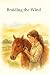 Braiding the Wind: A short ...