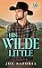 His Wilde Little: An MM Cowboy Daddy Romance